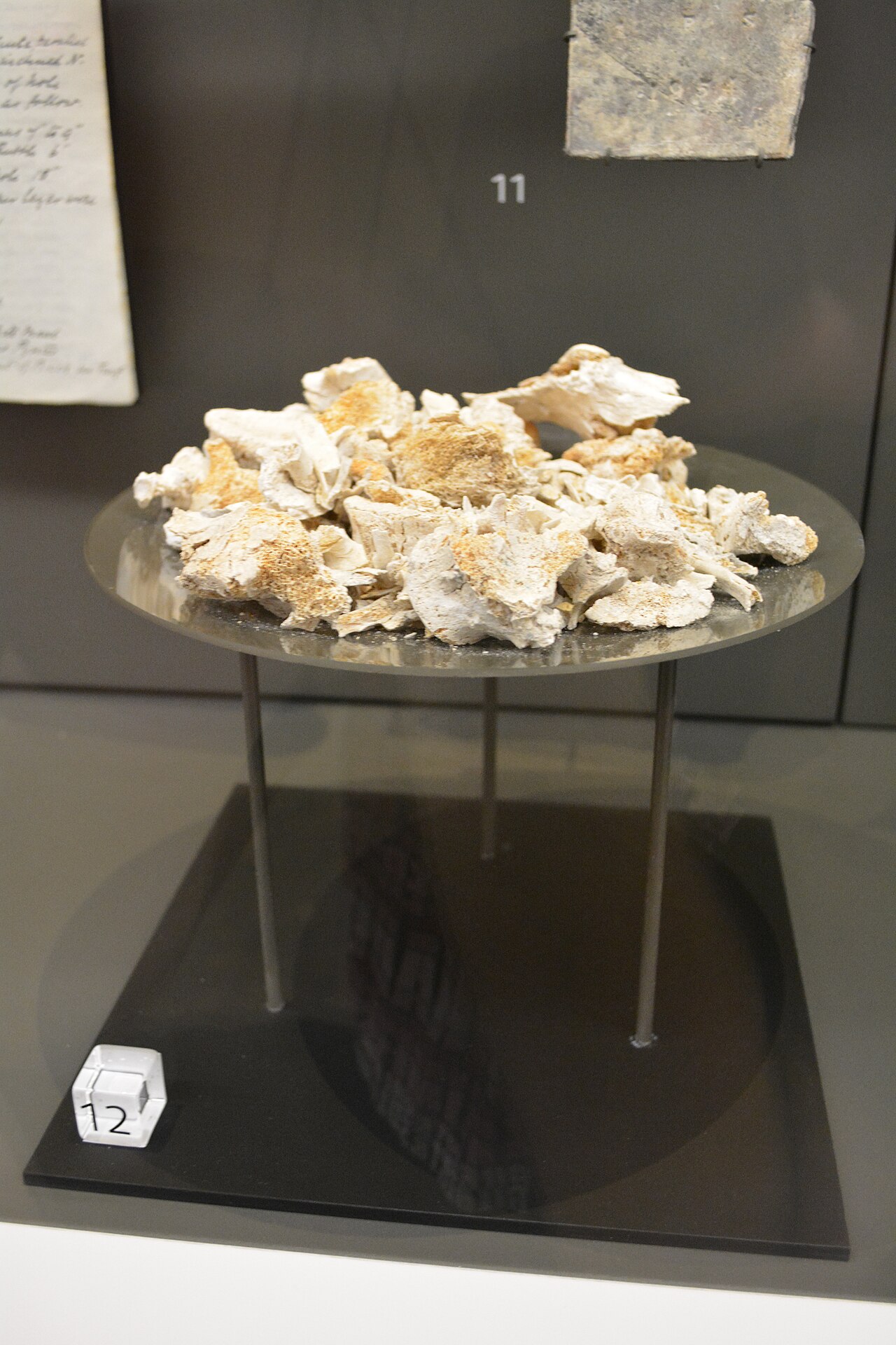 Cremation
