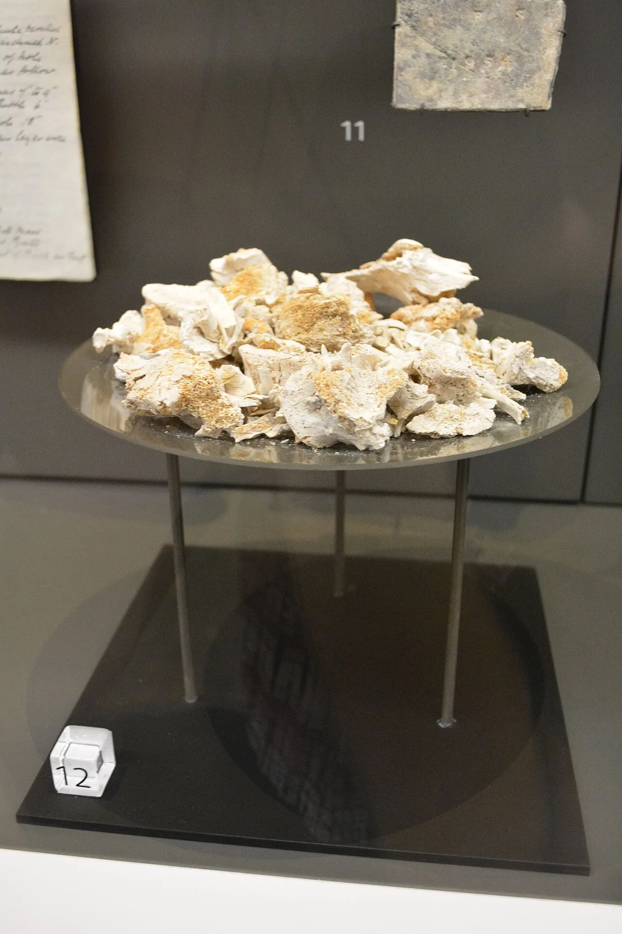 Cremation